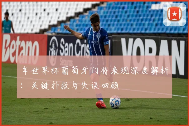 年世界杯葡萄牙门将表现深度解析：关键扑救与失误回顾