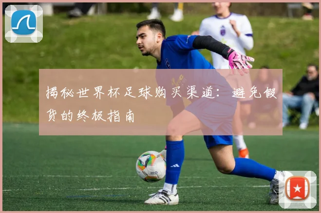 揭秘世界杯足球购买渠道：避免假货的终极指南