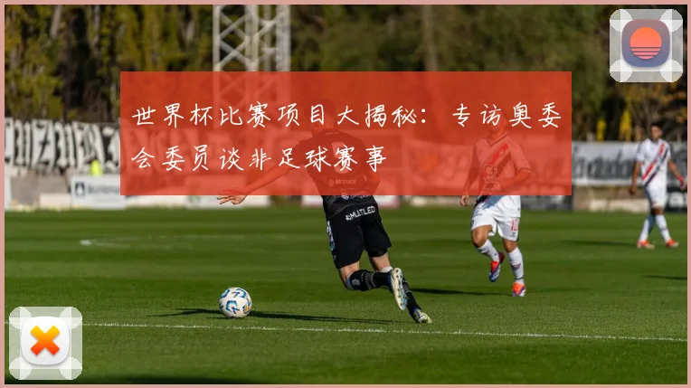 世界杯比赛项目大揭秘:专访奥委会委员谈非足球赛事