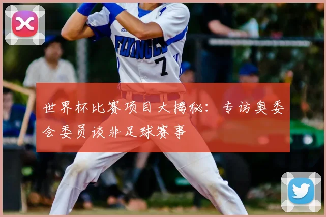 世界杯比赛项目大揭秘:专访奥委会委员谈非足球赛事