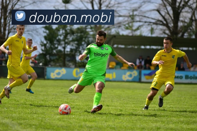 开云手机在线官网登录APP 高清赛事图